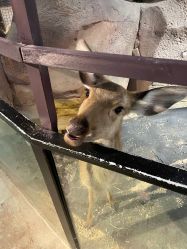 -酷嗒动物文化乐园(cutezoo西溪乐天城店)