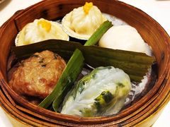 -虾饺妹·酒家(金碧店)