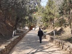 -函谷关历史文化旅游区