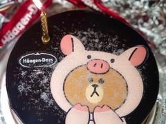 -哈根达斯(龙湖时代天街店)