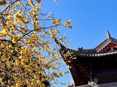 -钱王祠