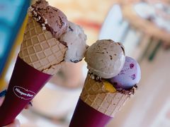 -哈根达斯(绍兴银泰店)