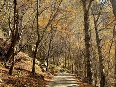 -叠溪松坪沟景区
