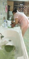 -千禧果月子会所(郑州东站店)