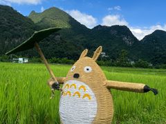 -万峰林风景区
