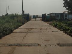 -大湾区中央湿地公园-十九涌