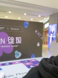 点击看大图 -玛莲朵·海菲秀冰珀科