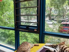 -路路通百辰汽车服务连锁(三合店)