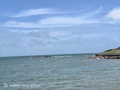 -小麦岛公园