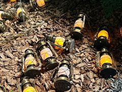 -J Create城市露营咖啡·简餐·宠物(上海动物园店)