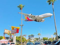 -In-N-Out Burger(LAX)