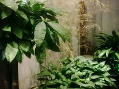 -碧露轩·大益茶体验馆(镇江路店)