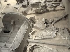 -洛阳周王城天子驾六博物馆