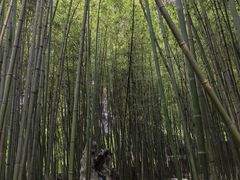 -泰山风景名胜区-普照寺