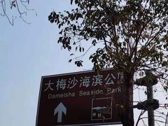 -大梅沙海滨公园