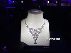 -Apple零售店(成都太古里店)