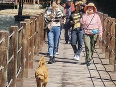 -石台牯牛降景区