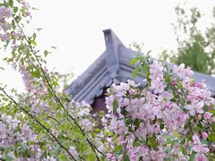 -元大都城垣遗址公园