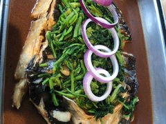 -半天妖烤鱼(方庄店)