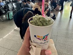 -卡塔尼亚-丰塔纳罗沙机场