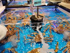 -大润发(康桥店)