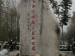 -合肥滨湖国家森林公园