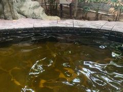 -龙达温泉生态城