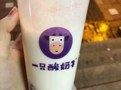 -一只酸奶牛(八一路店)