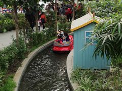 -南宫五洲植物乐园