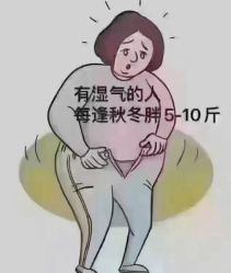 -Fundi张玉珊修身堂·indiba·BTL科技瘦身