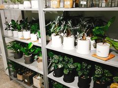 -OCE(熙地港购物中心店)