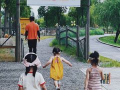 -前小桔亲子创意农场·草莓采摘·露营烧烤