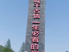 -杭州宋城
