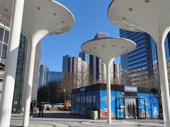 -新荟城(望京店)