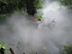 -呀诺达热带雨林