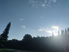 -深圳仙湖植物园