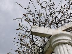 -苏州上方山国家森林公园