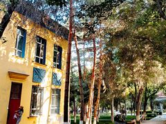 -新疆医科大学第一附属医院