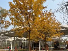 -秦皇岛野生动物园