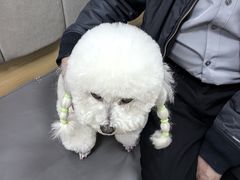-美联众合动物医院·24h转诊中心