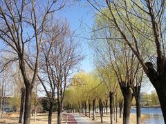 -中关村生命科学园