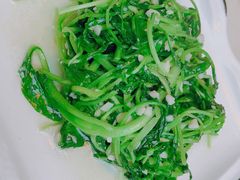清炒鸡毛菜-19号私房菜(云南路店)
