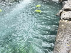 -百脉泉景区