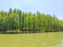 -苏州太湖国家湿地公园