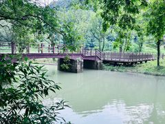 -五泄景区