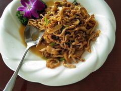 海蜇皮炒肉丝-牟传仁饭庄(星海店)