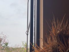 -华农酸奶文化馆