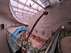 -陕西自然博物馆