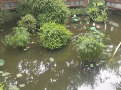 -大妙火锅·非物质文化遗产(东湖公园店)