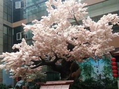 -嘉悦汗蒸时代(曙光路店)